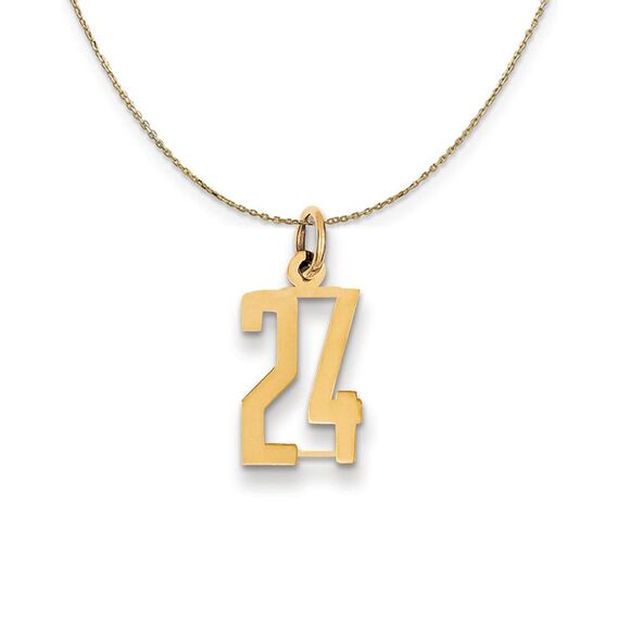 14k Yellow Gold, Alumni Small Elongated Number 24 Necklace - 24 Inch - Picture 1 of 7